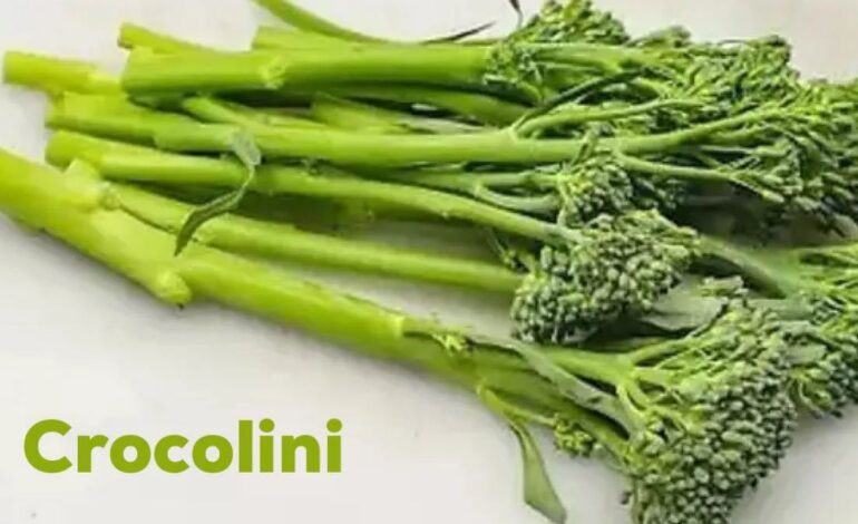 crocolini