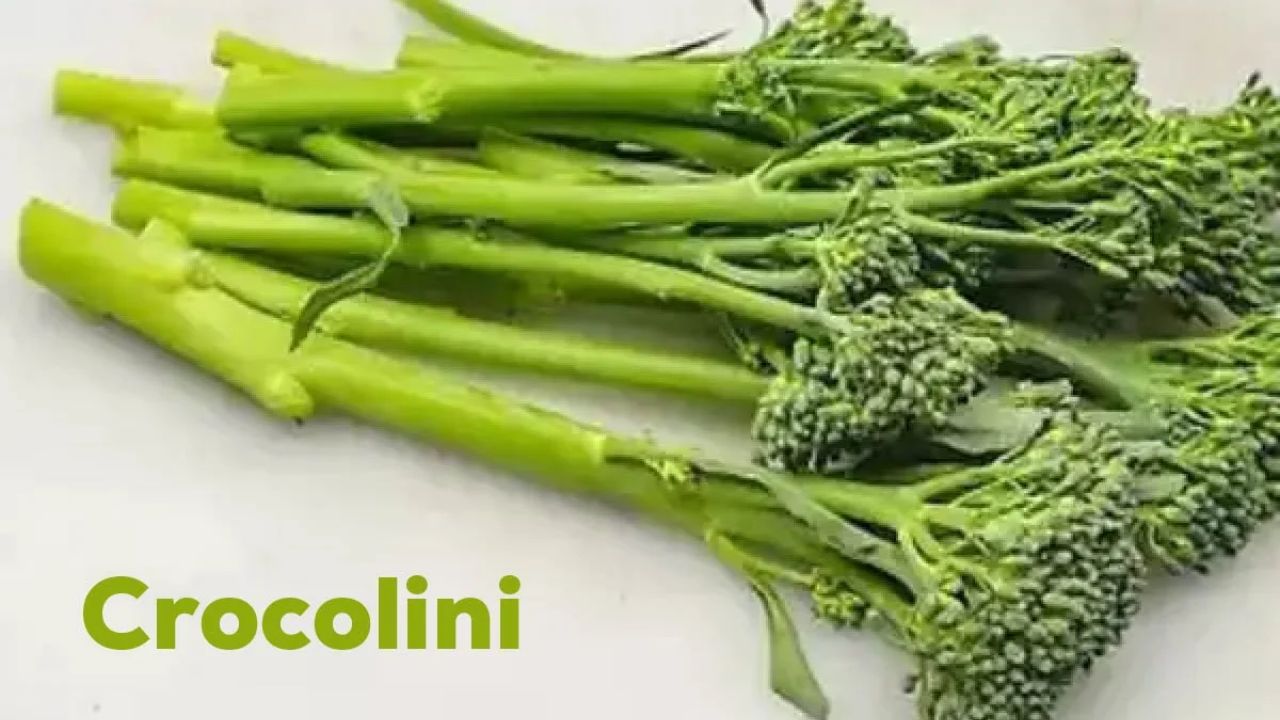 Crocolini Meaning, Taste, and Simple Cooking Guide