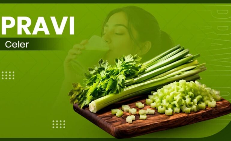 Pravi Celer Meaning, Nutrition, Uses, and Growing Guide