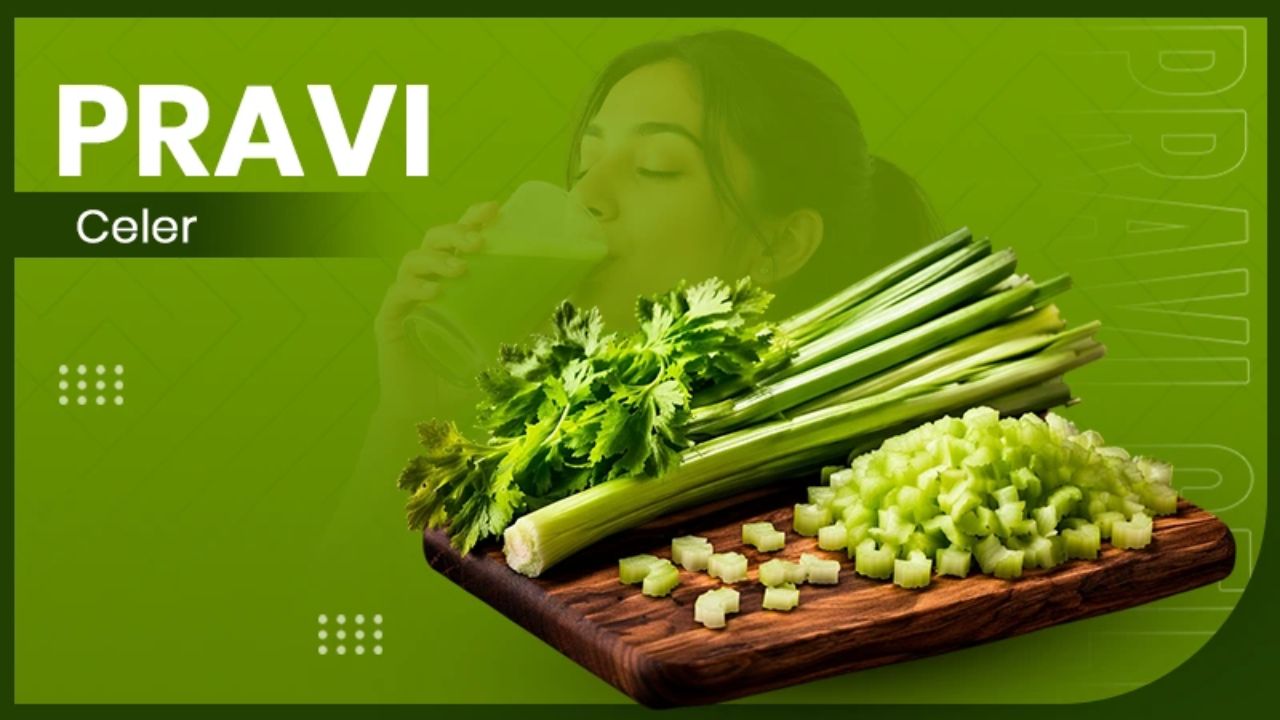 pravi celer